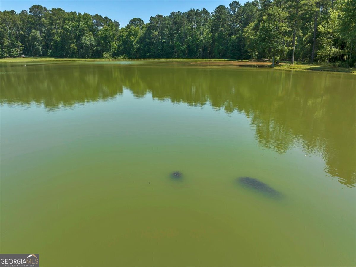 655 McDonough Road Hampton, GA 30228 - Photo 116 of 120