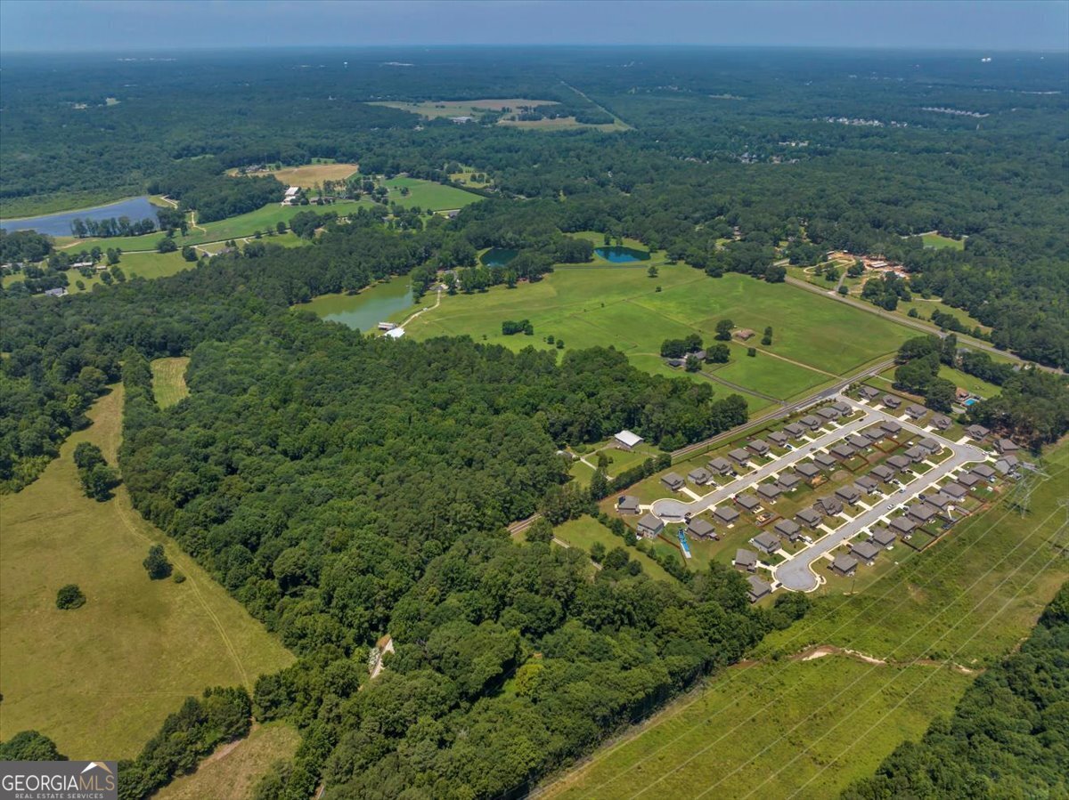 655 McDonough Road Hampton, GA 30228 - Photo 87 of 120