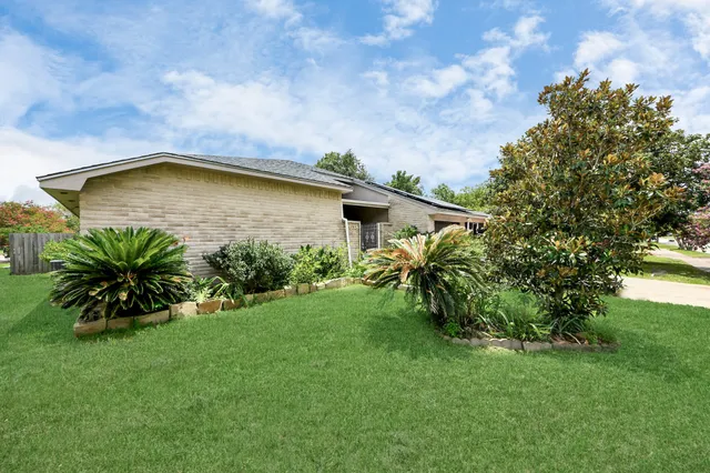 a backyard of a house with plants and large trees