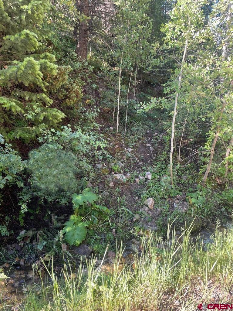 58p 58P Road Placerville, CO 81430 - Photo 34 of 34