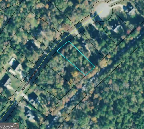 a backyard of a house with large trees and plants