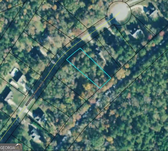 a backyard of a house with large trees and plants