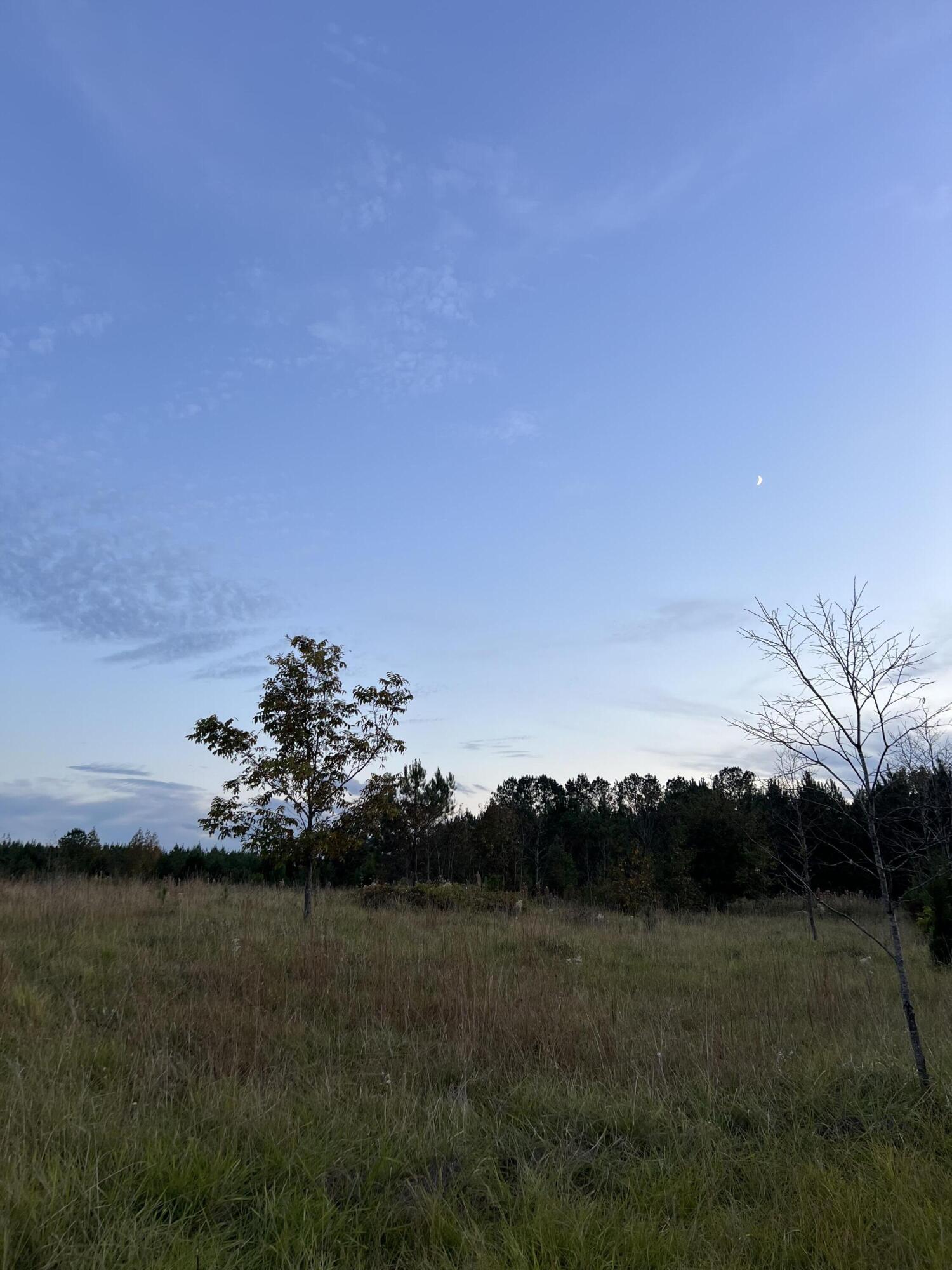 2560 Whitetown Road McCormick, SC 29835 - Photo 2 of 7 IMG_3766