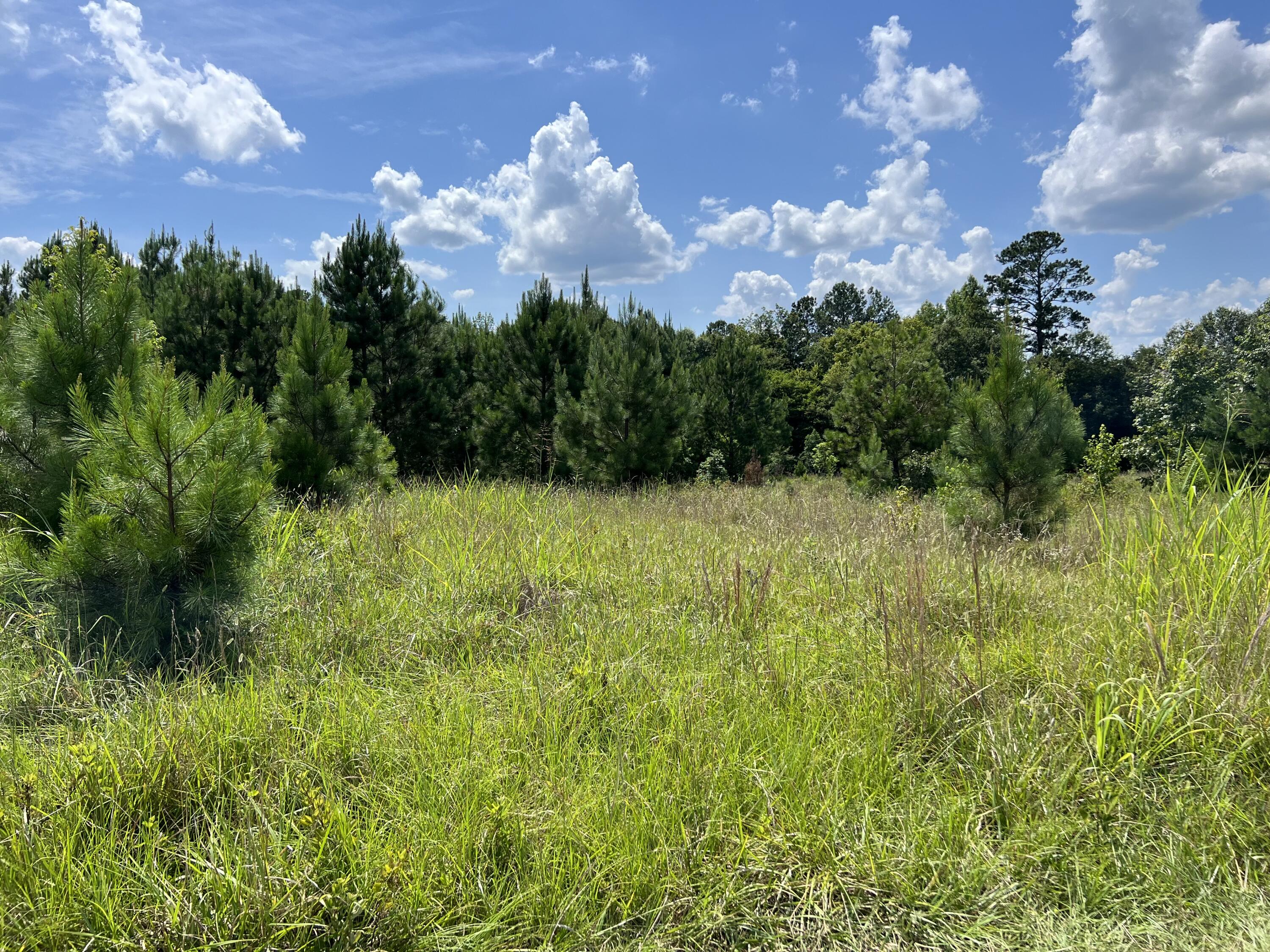 2560 Whitetown Road McCormick, SC 29835 - Photo 5 of 7 IMG_2725
