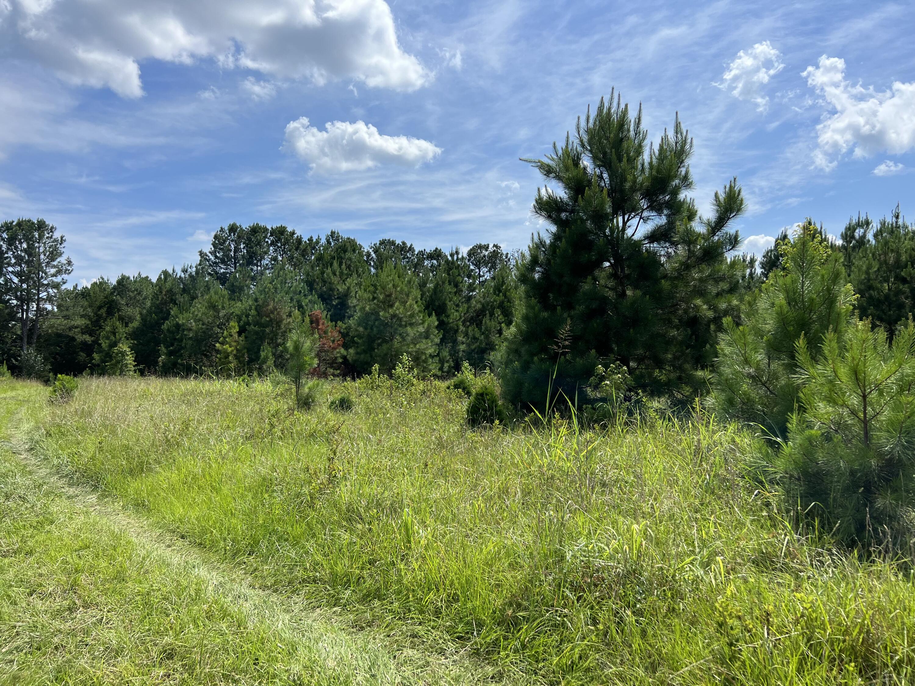2560 Whitetown Road McCormick, SC 29835 - Photo 6 of 7 IMG_2726