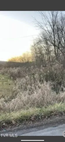 $8,500 | 0 Essex Road, Coeburn, VA 24230