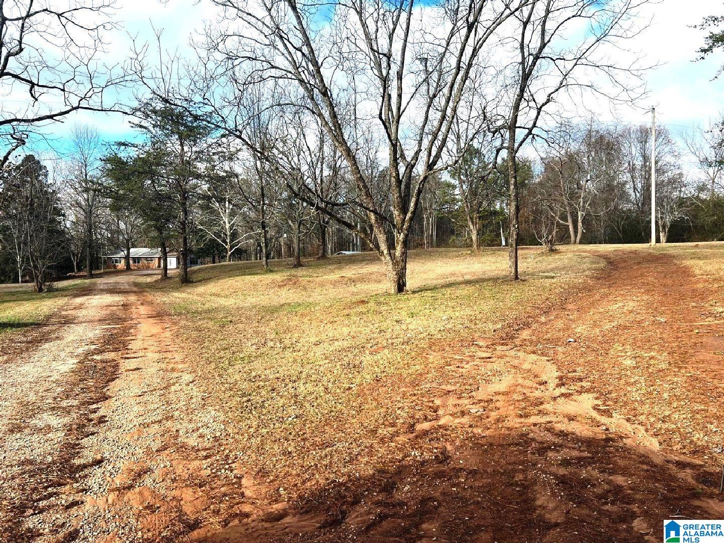 1194 Mountain View Road Ashland, AL 36251 - Photo 39 of 43
