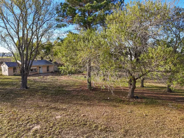 a view of a tree in front of a house