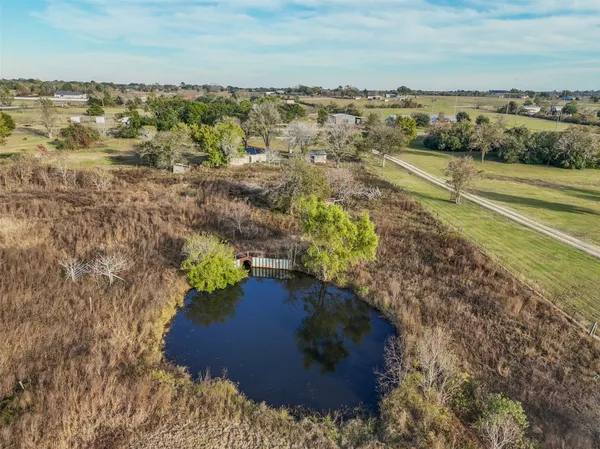 a view of a bunch of trees in a field