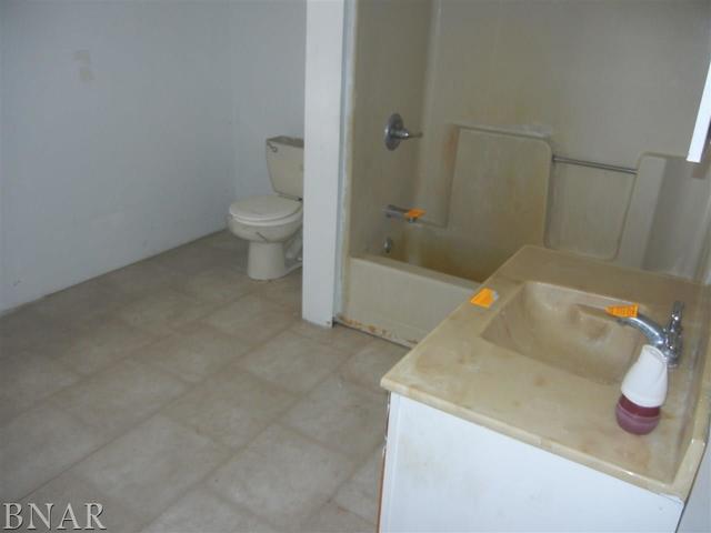 105 7th Street Cornell, IL 61319 - Photo 10 of 14