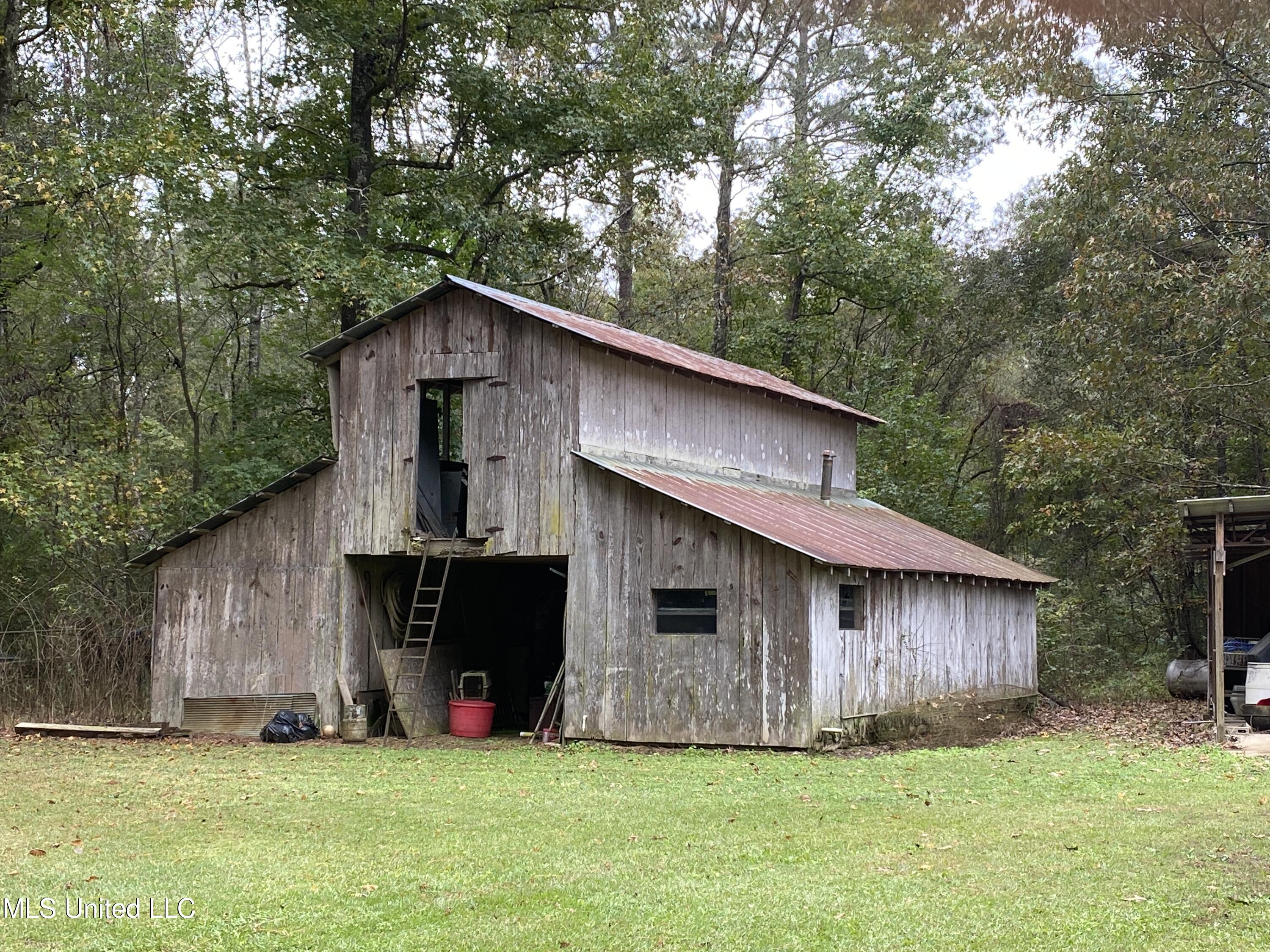 111 Dummy Line Road Canton, MS 39046 - Photo 11 of 41 IMG_4497