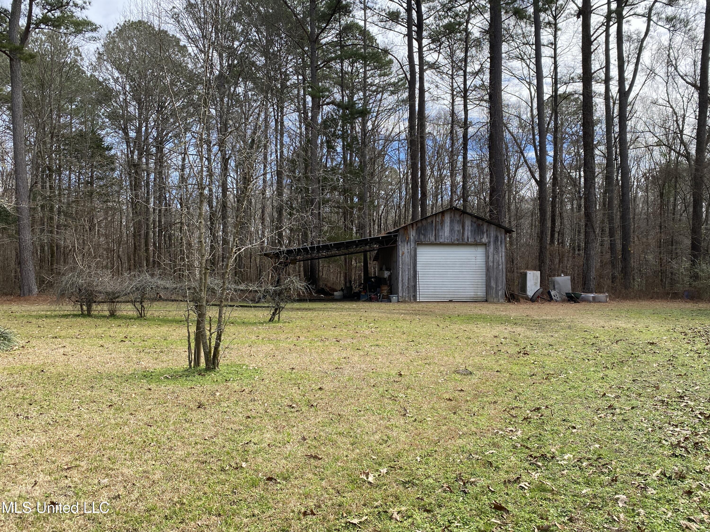 111 Dummy Line Road Canton, MS 39046 - Photo 12 of 41 IMG_6324