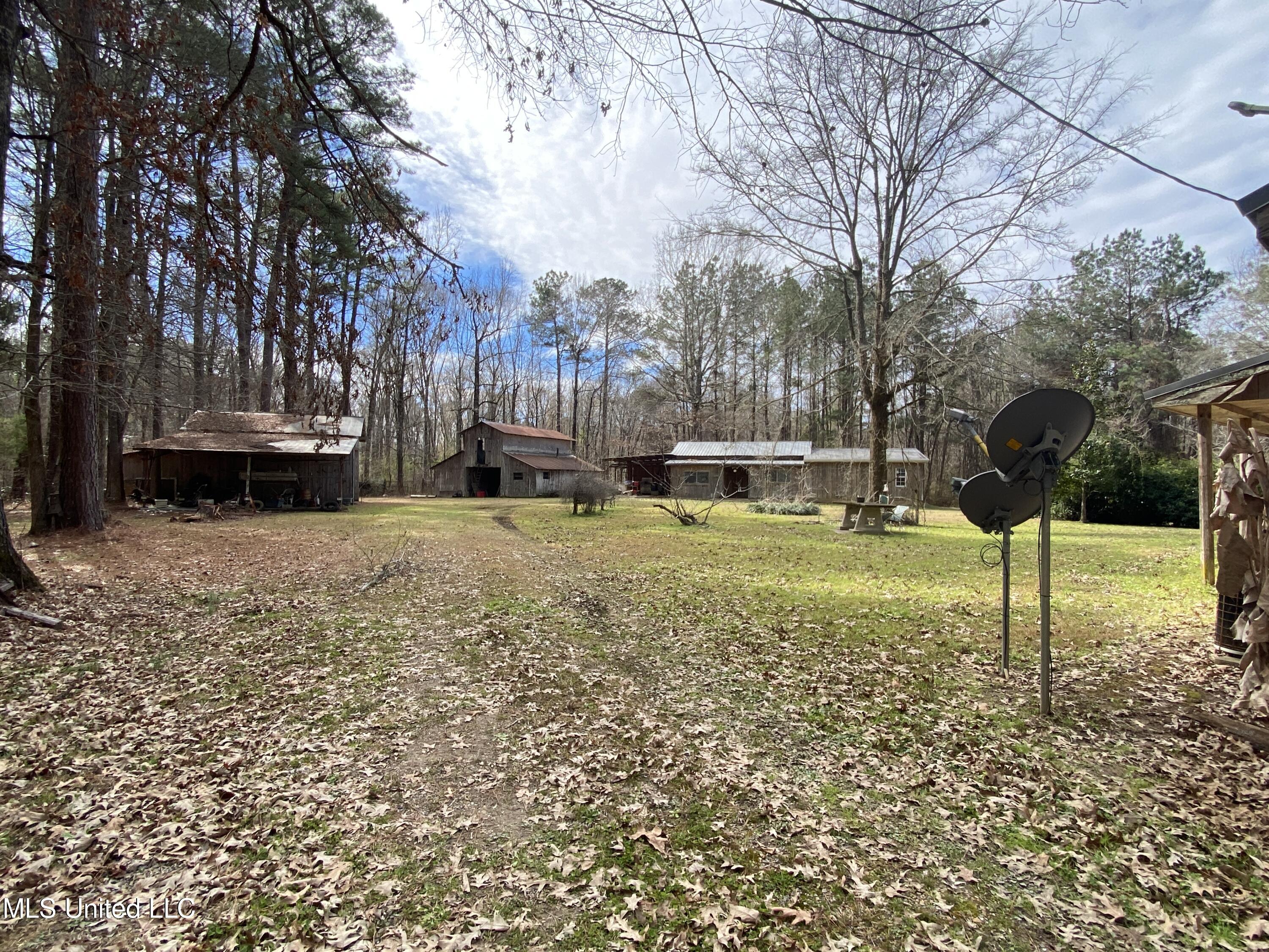 111 Dummy Line Road Canton, MS 39046 - Photo 15 of 41 IMG_6306