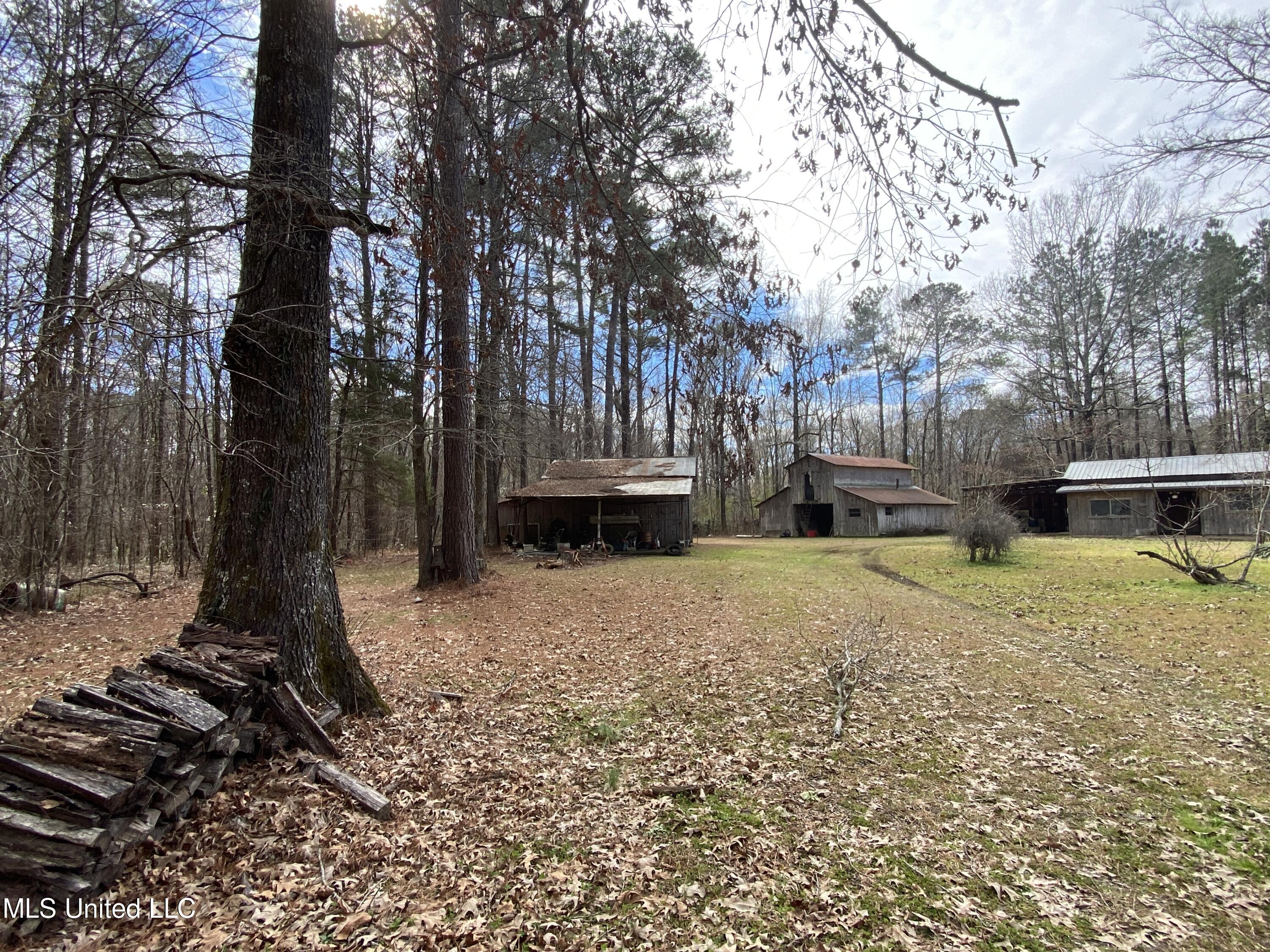 111 Dummy Line Road Canton, MS 39046 - Photo 16 of 41 IMG_6310