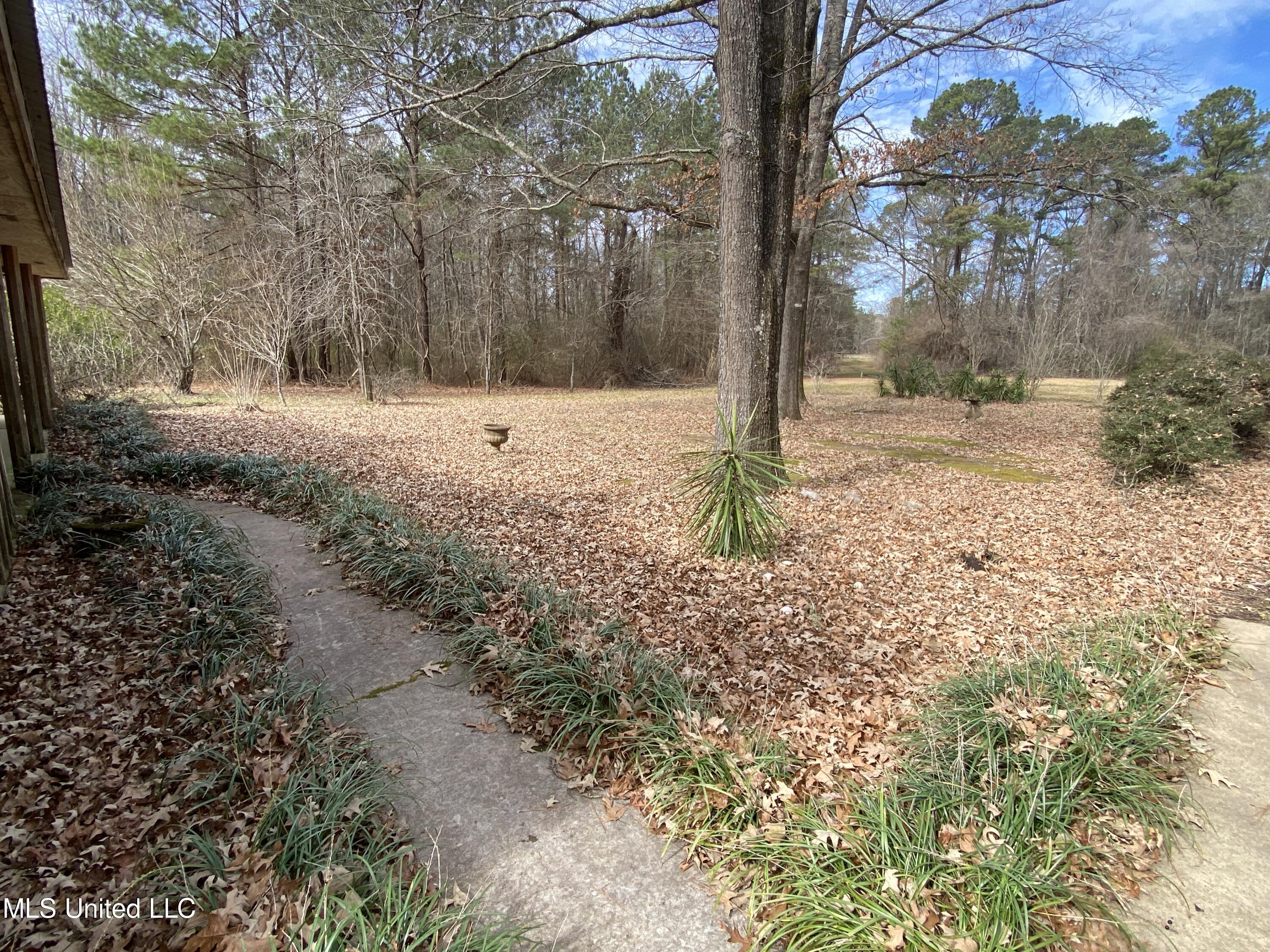 111 Dummy Line Road Canton, MS 39046 - Photo 7 of 41 IMG_6311