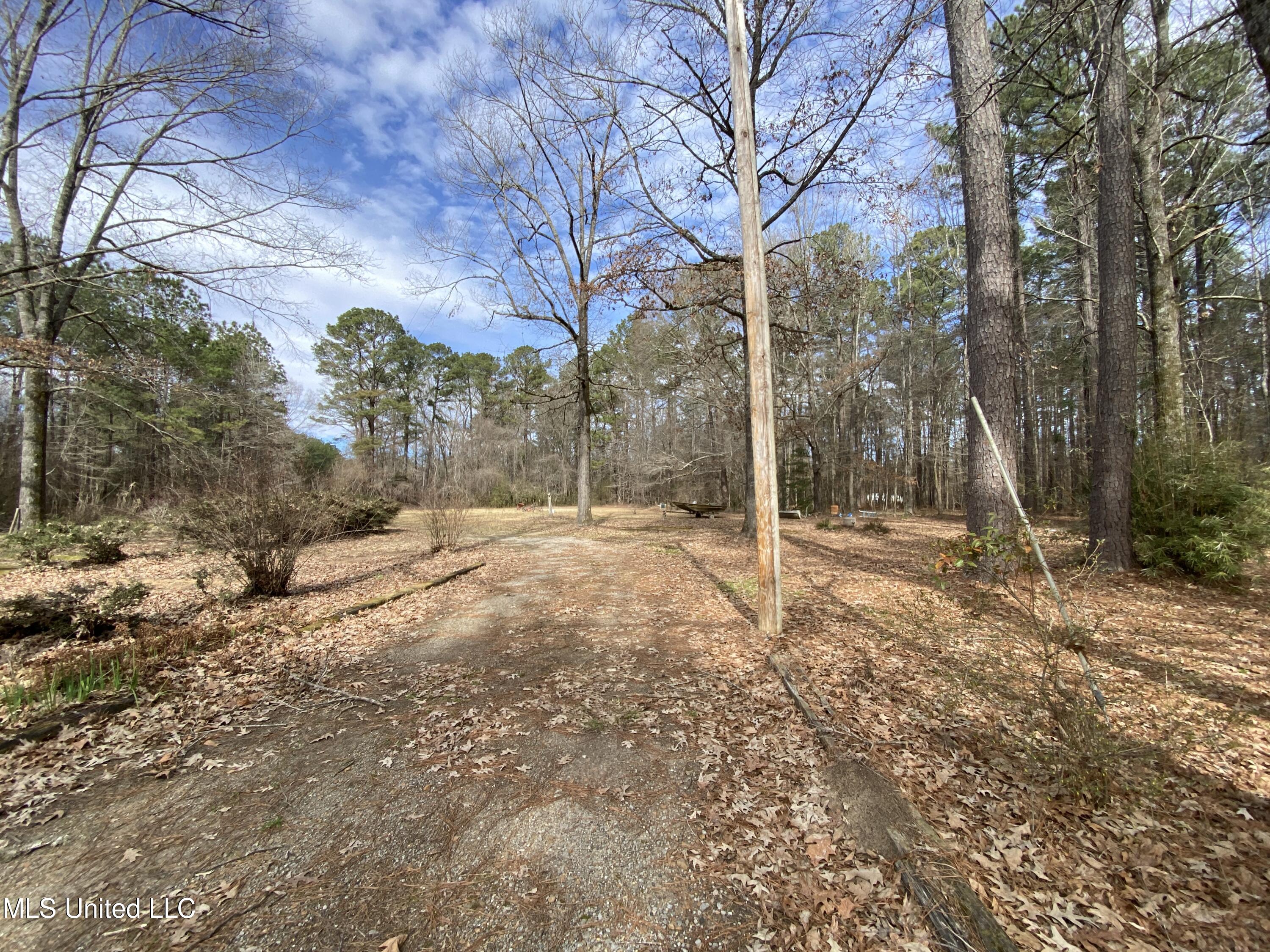 111 Dummy Line Road Canton, MS 39046 - Photo 8 of 41 IMG_6338