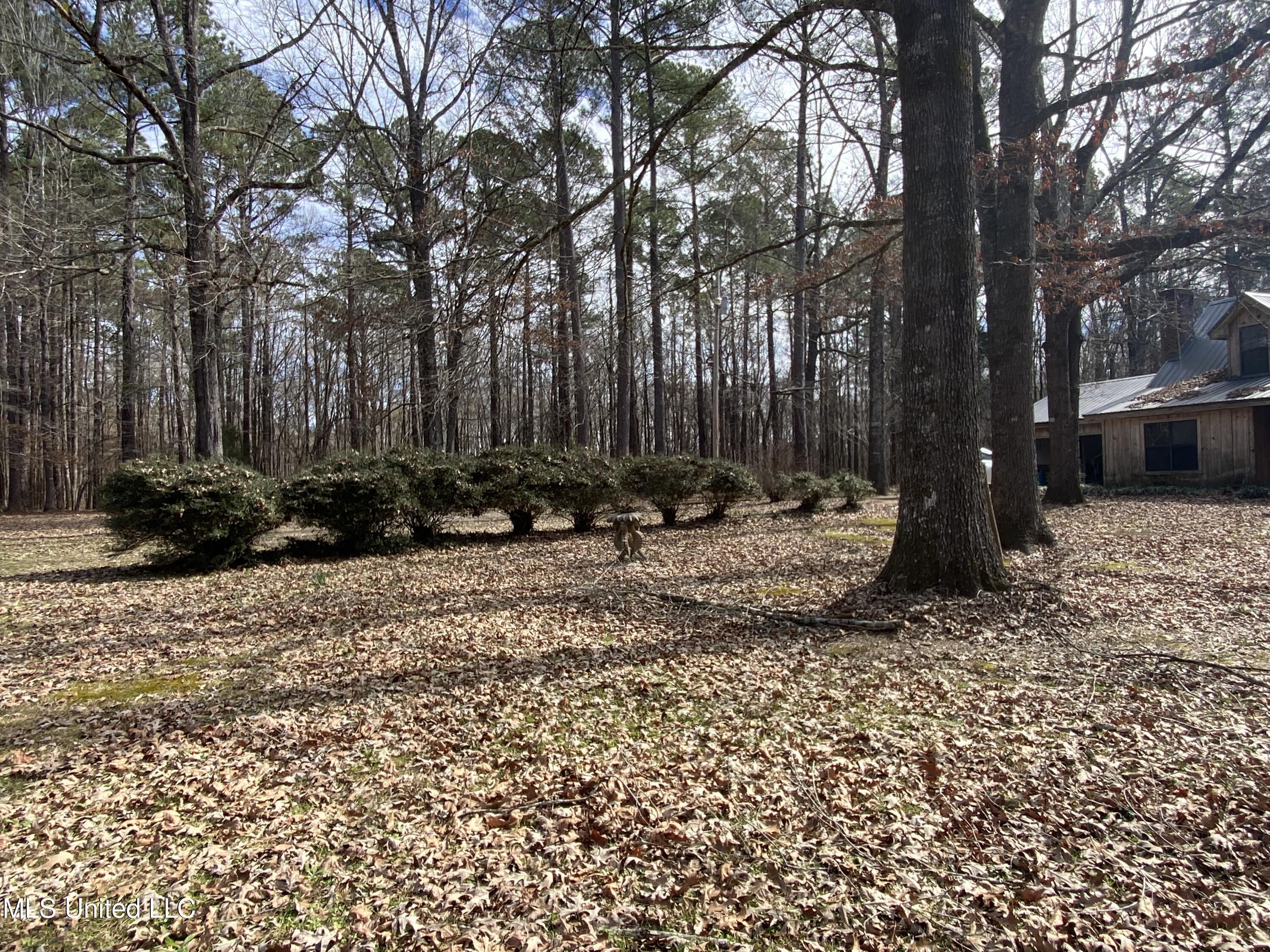 111 Dummy Line Road Canton, MS 39046 - Photo 9 of 41 IMG_6347