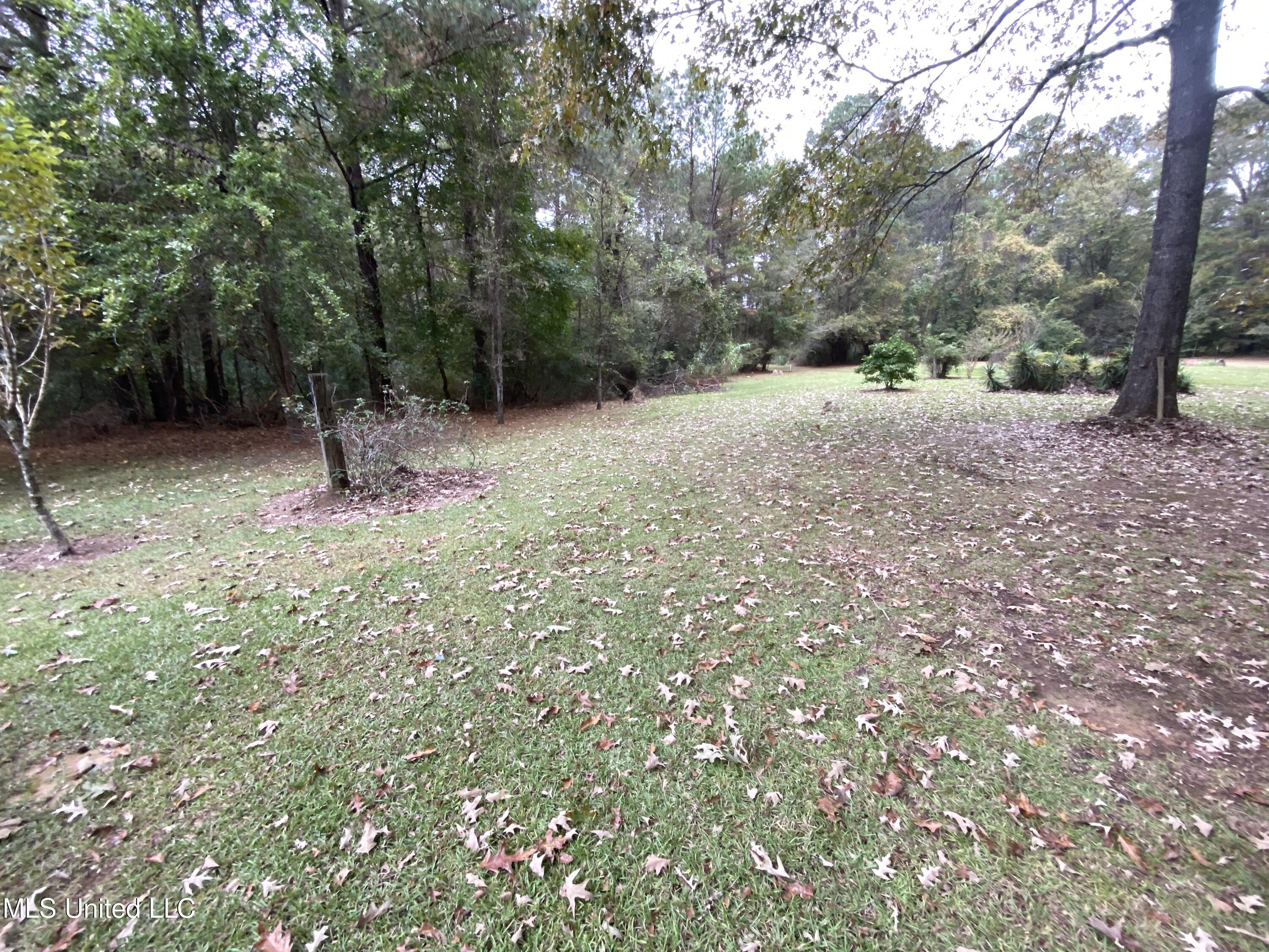 111 Dummy Line Road Canton, MS 39046 - Photo 10 of 41 IMG_4529