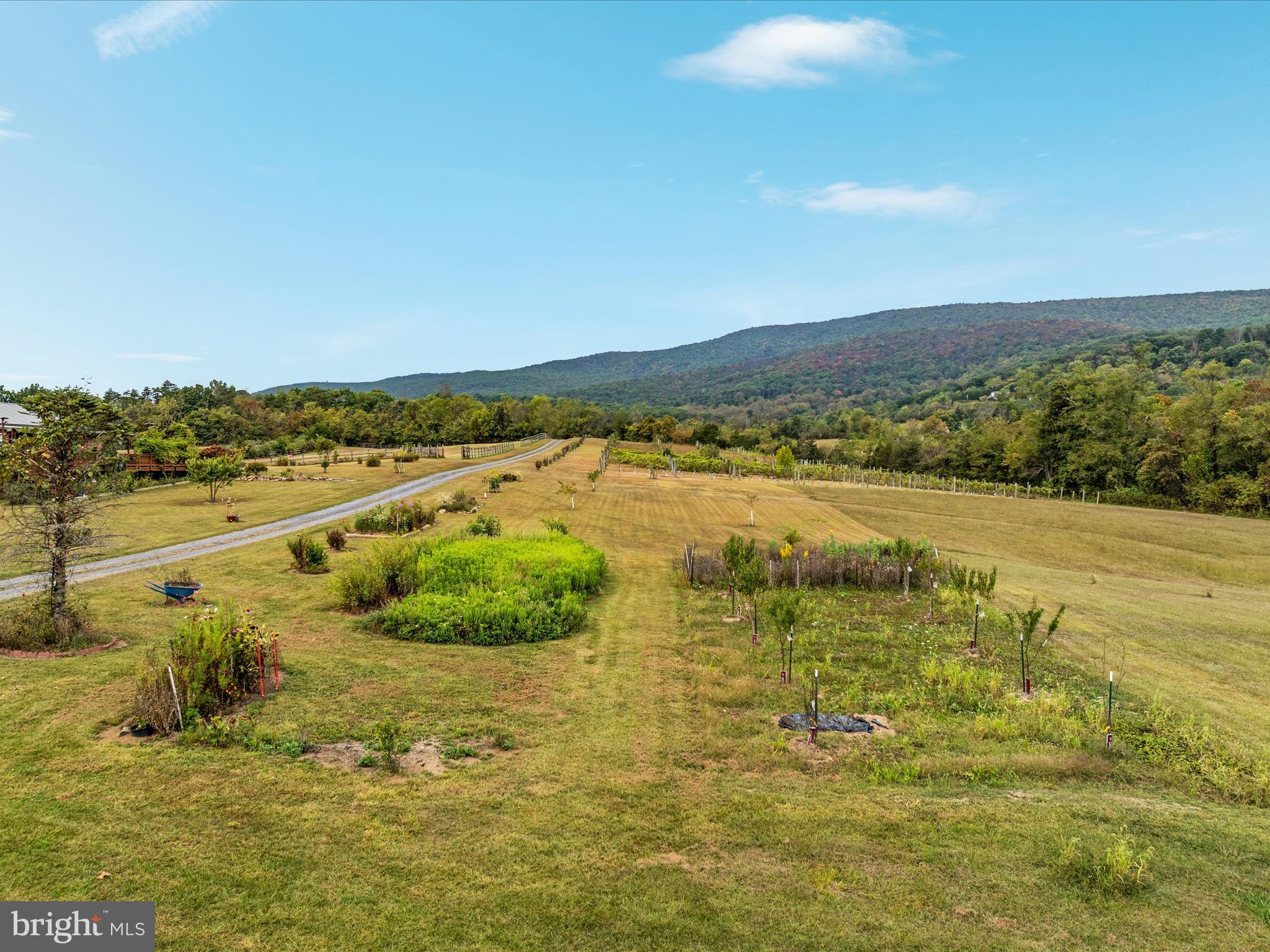 2121 South Pifer Road Star Tannery, VA 22654 - Photo 107 of 124 DJI_0080_2121 S Pifer Rd - Absolute Altitude -9 -