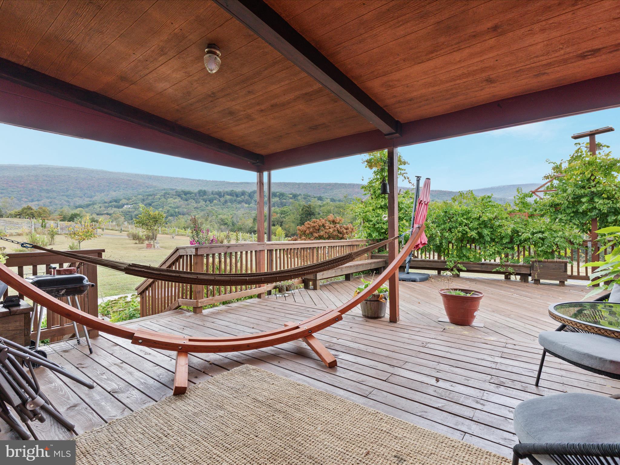 2121 South Pifer Road Star Tannery, VA 22654 - Photo 77 of 124 2E6A9198_2121 S Pifer Rd - Absolute Altitude -9 -