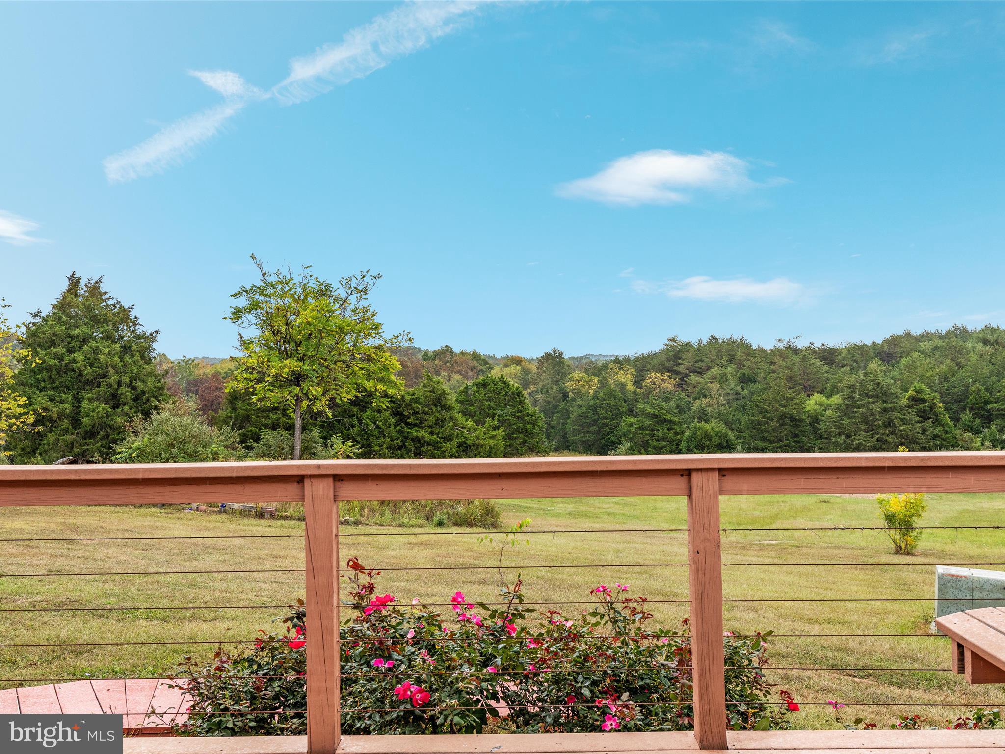 2121 South Pifer Road Star Tannery, VA 22654 - Photo 82 of 124 2E6A8885_2121 S Pifer Rd - Absolute Altitude -9 -