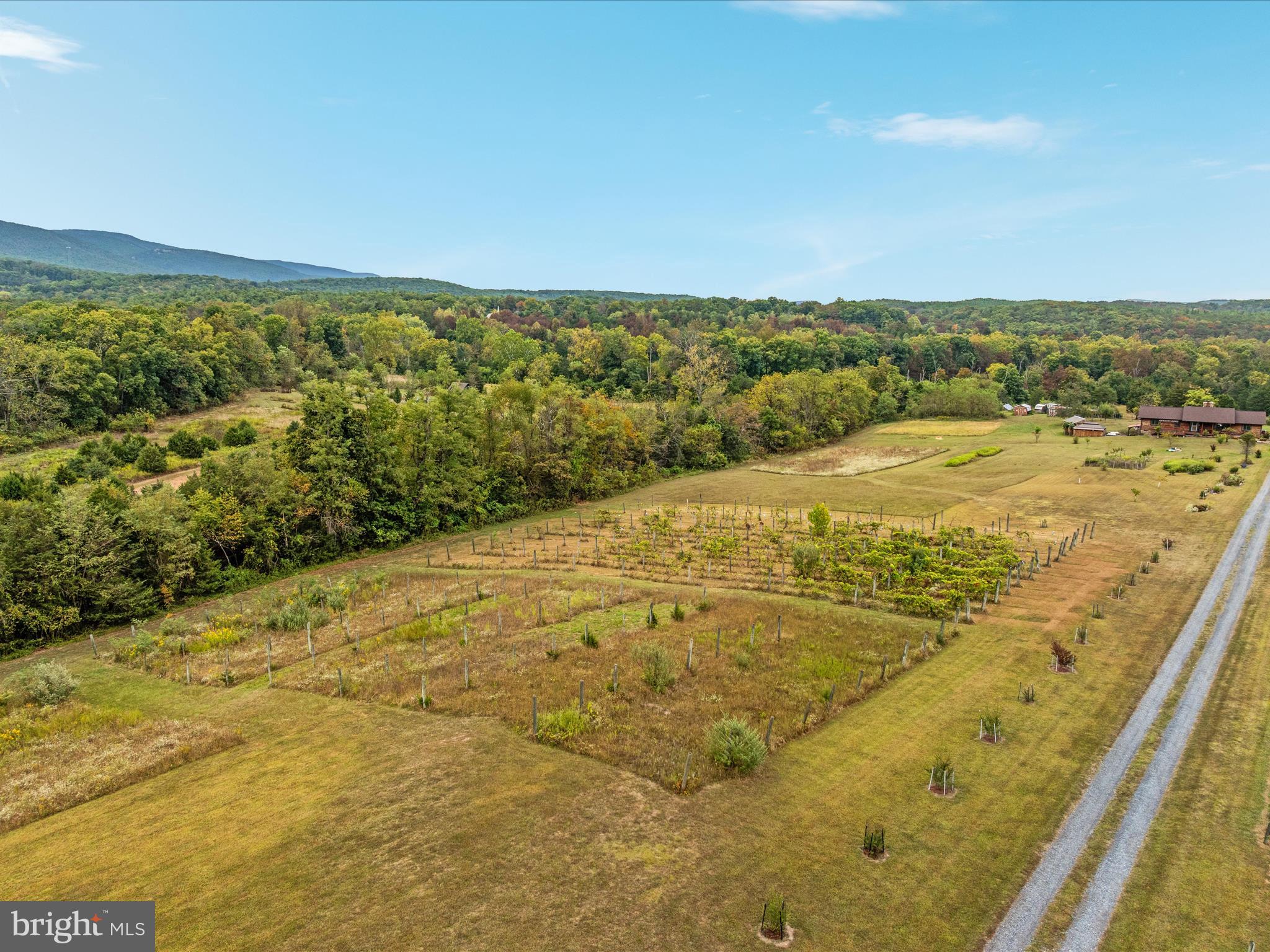 2121 South Pifer Road Star Tannery, VA 22654 - Photo 93 of 124 DJI_0055_2121 S Pifer Rd - Absolute Altitude -9 -