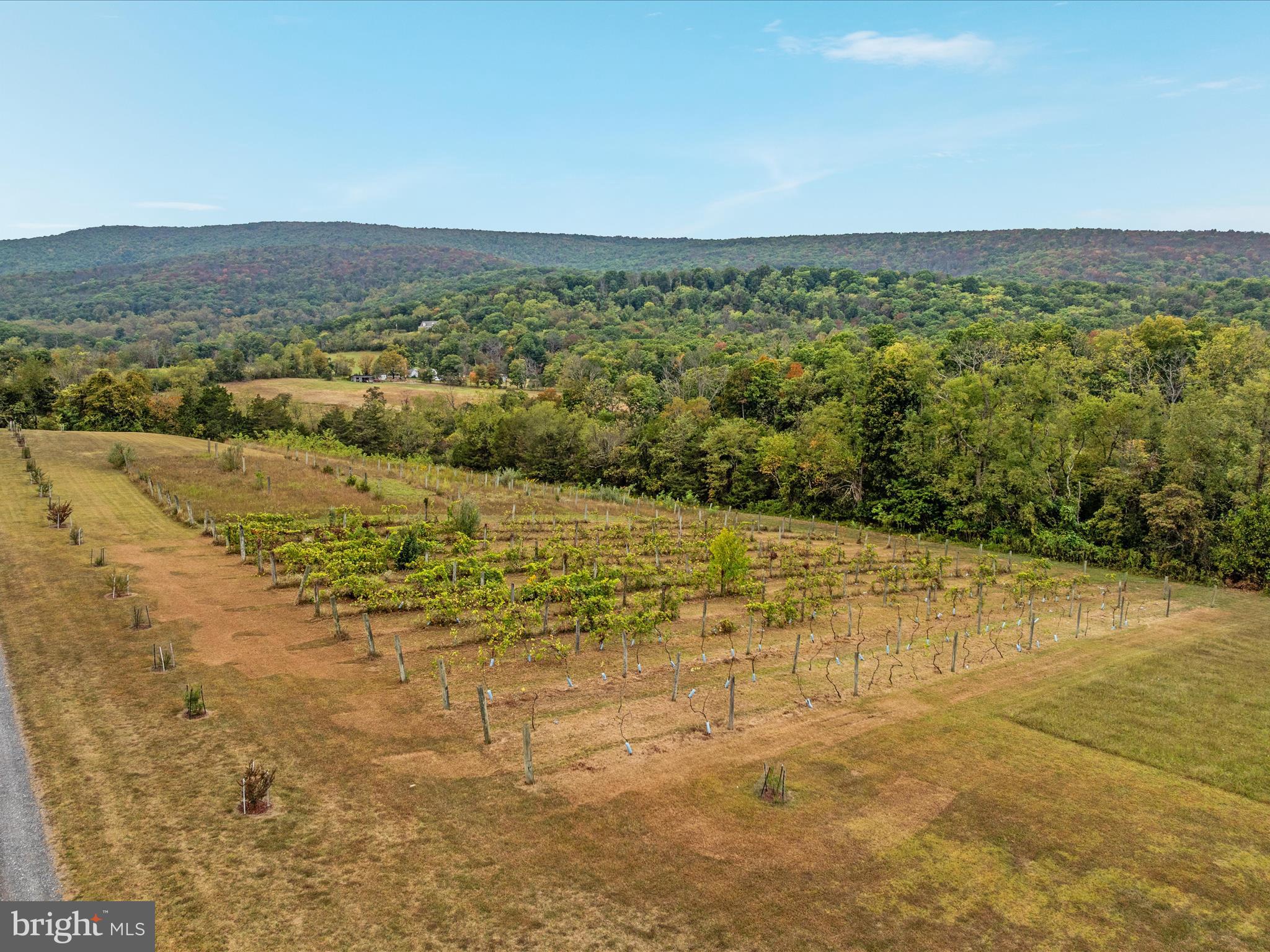 2121 South Pifer Road Star Tannery, VA 22654 - Photo 95 of 124 DJI_0057_2121 S Pifer Rd - Absolute Altitude -9 -