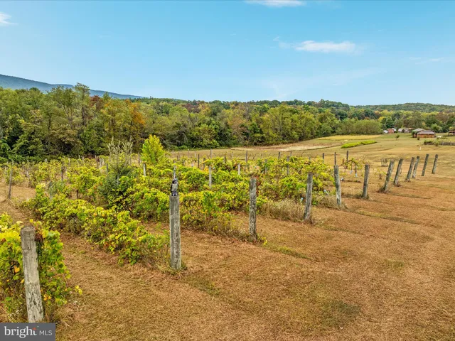 $1,450,000 | 2121 South Pifer Road, Star Tannery, VA 22654