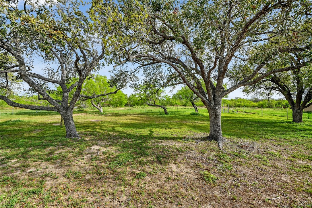 291 Boenig Road Woodsboro, TX 78393 - Photo 38 of 39