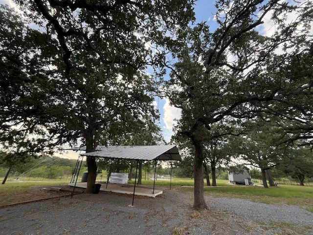 a view of a park with large trees