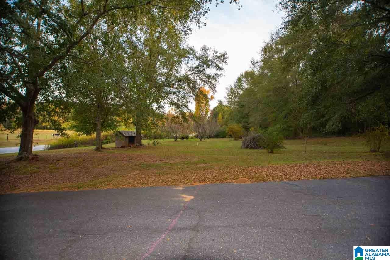274 Hepzibah Road Talladega, AL 35160 - Photo 50 of 50