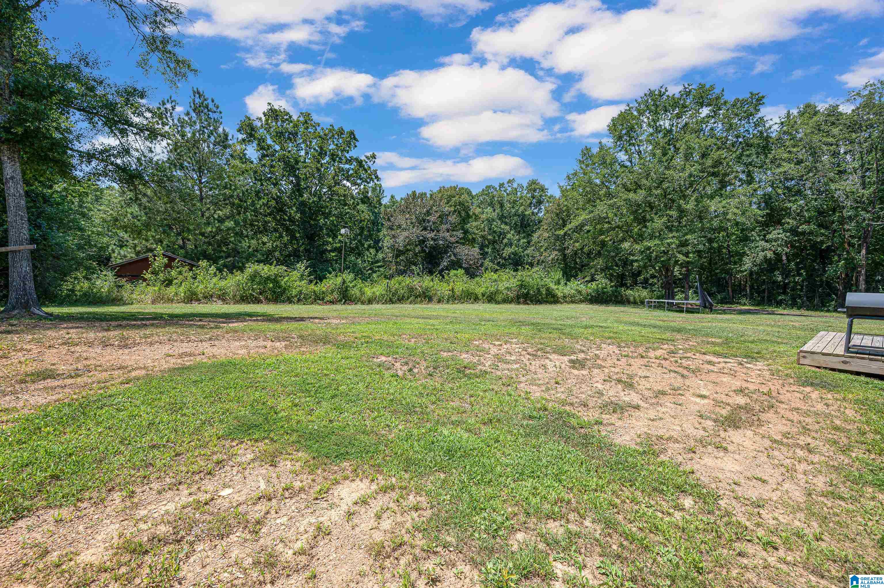 3419 Old Coal City Road Pell City, AL 35125 - Photo 41 of 47
