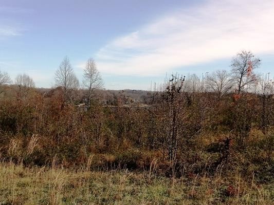 0 Majors Cemetery Road Lynchburg, TN 37352 - Photo 4 of 10 Overlooks Tims Ford Lake