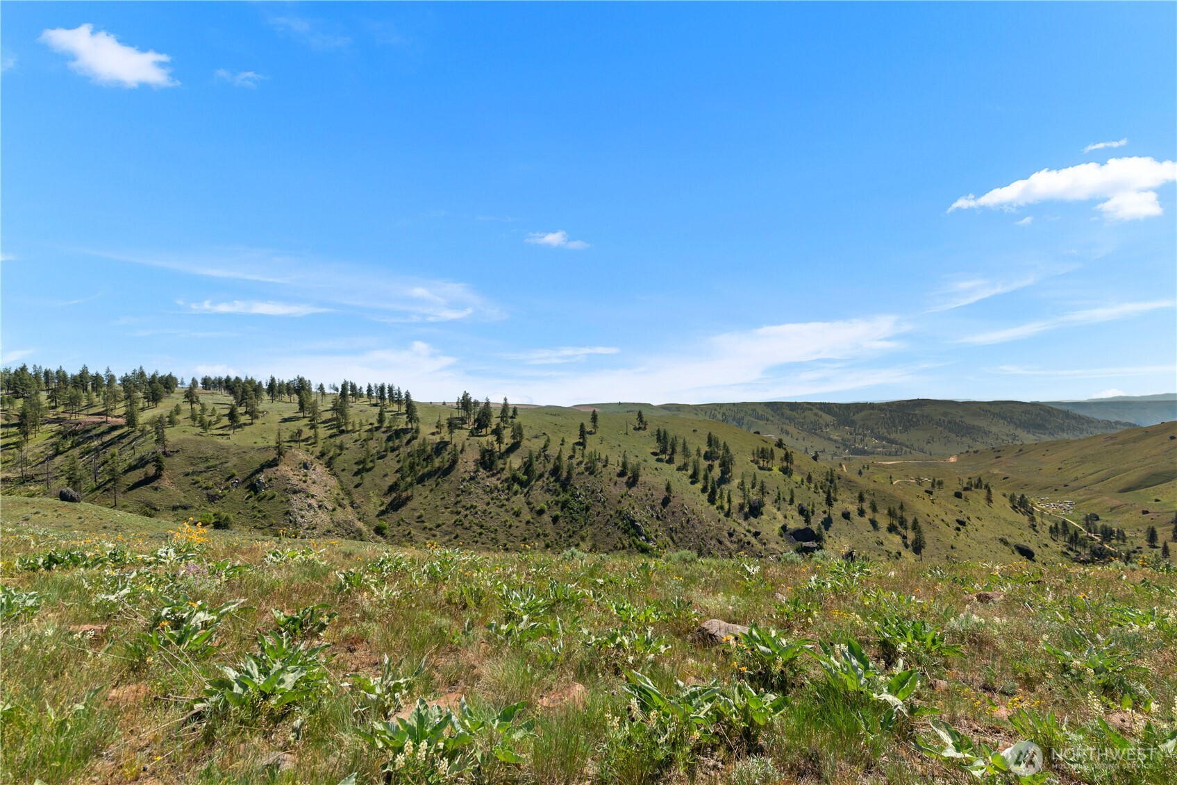12 Columbia River Bluffs Road Waterville, WA 98858 - Photo 33 of 40