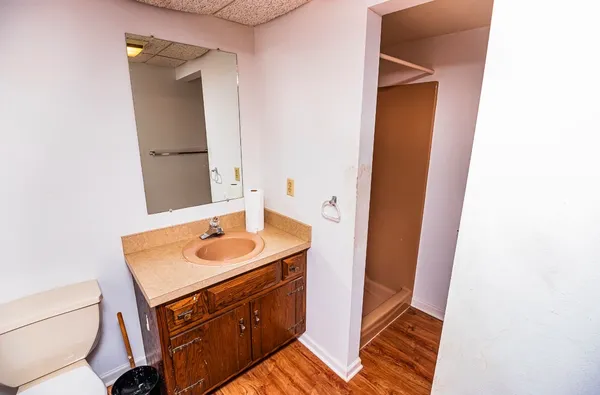 a bathroom with a sink and a toilet