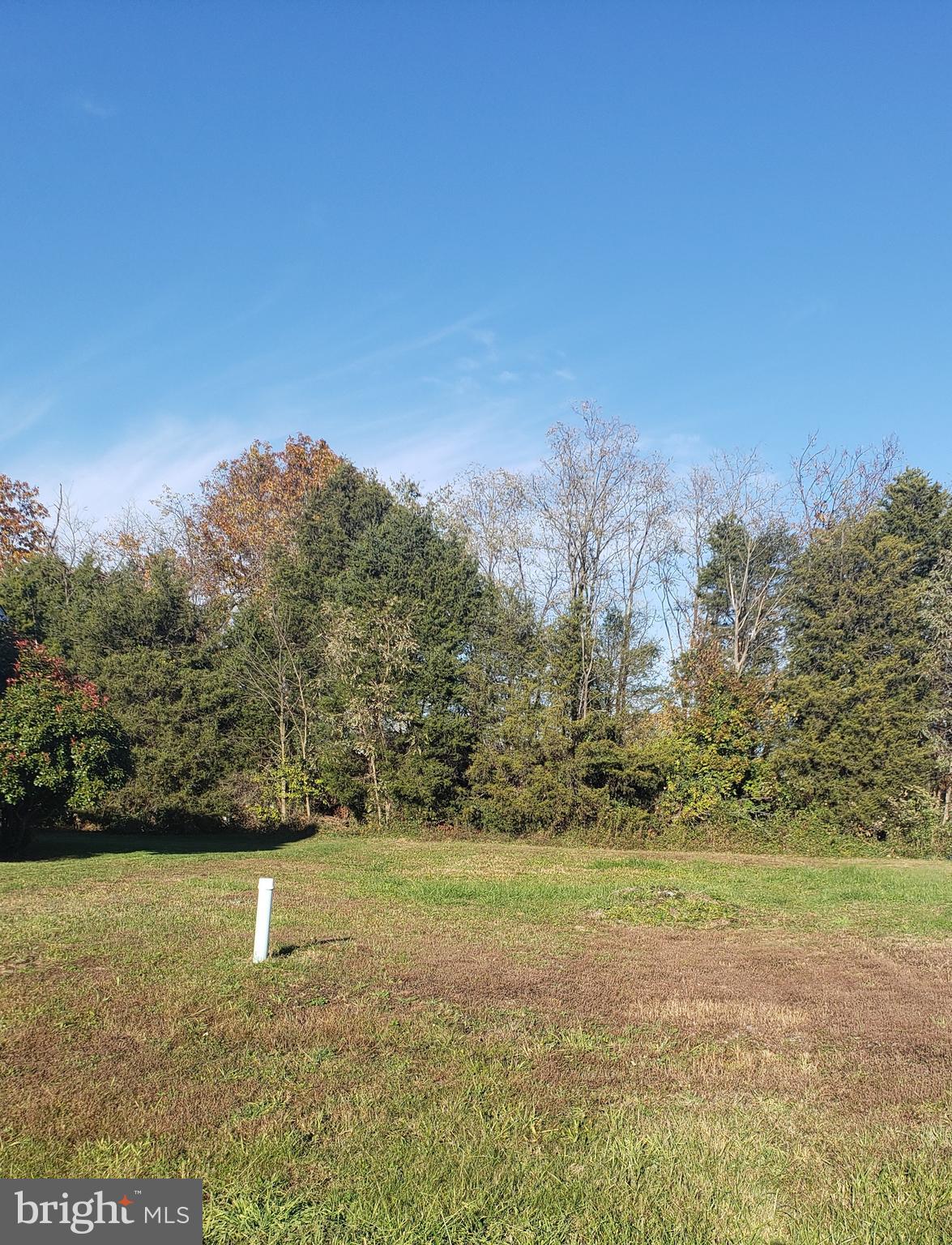 Ford Circle Road Inwood, WV 25428 - Photo 4 of 4 Beautiful Cleared lot that back to trees