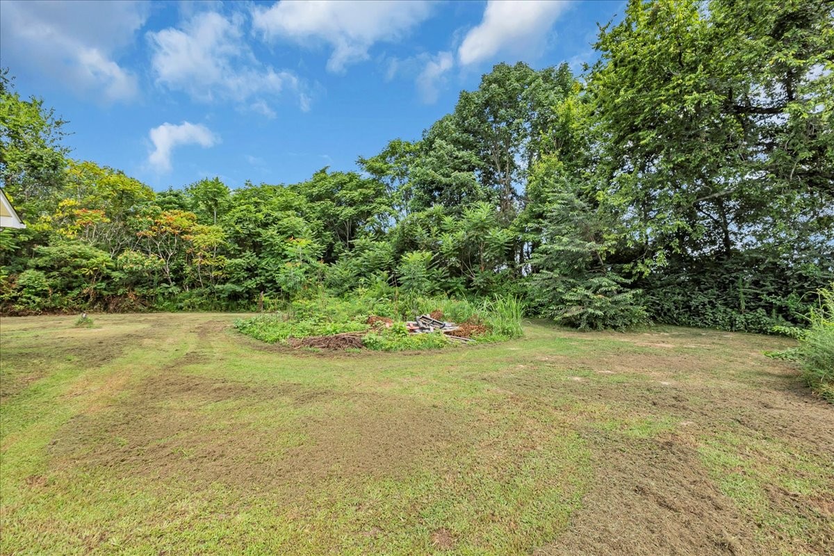 413 Walden Ridge Road Manchester, TN 37355 - Photo 62 of 71 a view of a yard with a tree
