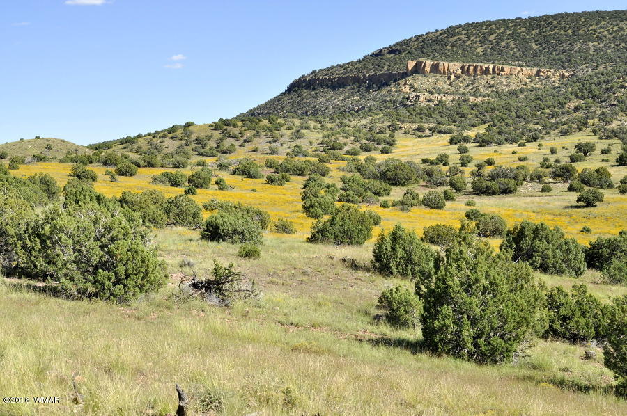 Lot 10 Pinon Concho, AZ 85924 - Photo 1 of 17