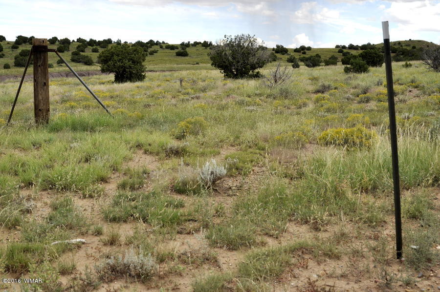 Lot 10 Pinon Concho, AZ 85924 - Photo 11 of 17