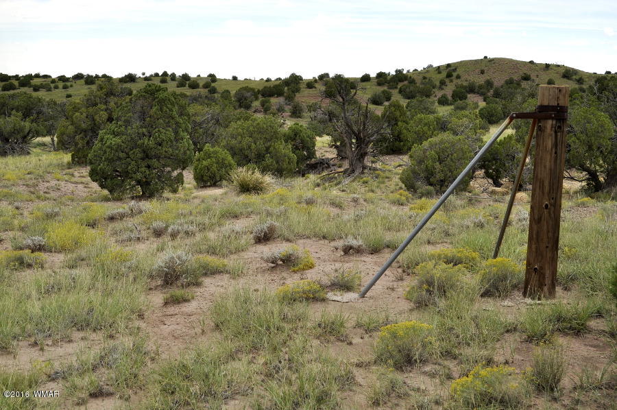 Lot 10 Pinon Concho, AZ 85924 - Photo 12 of 17