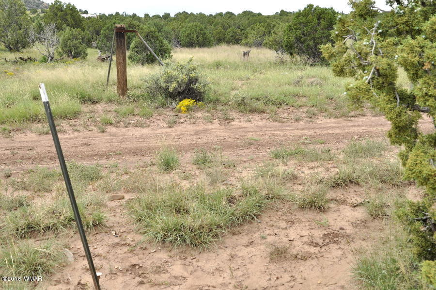 Lot 10 Pinon Concho, AZ 85924 - Photo 13 of 17