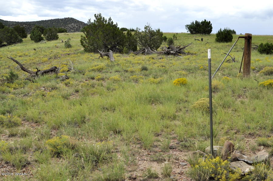 Lot 10 Pinon Concho, AZ 85924 - Photo 14 of 17