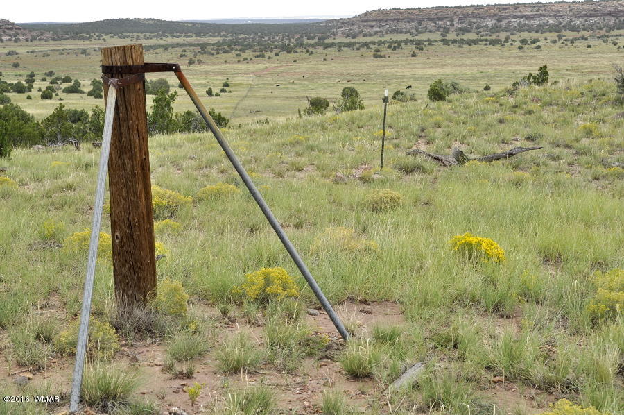 Lot 10 Pinon Concho, AZ 85924 - Photo 15 of 17