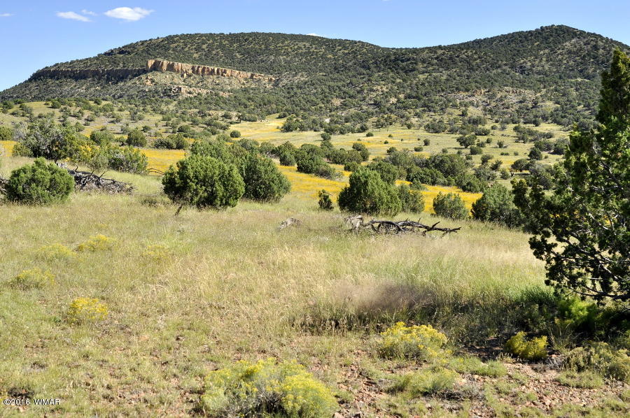 Lot 10 Pinon Concho, AZ 85924 - Photo 16 of 17