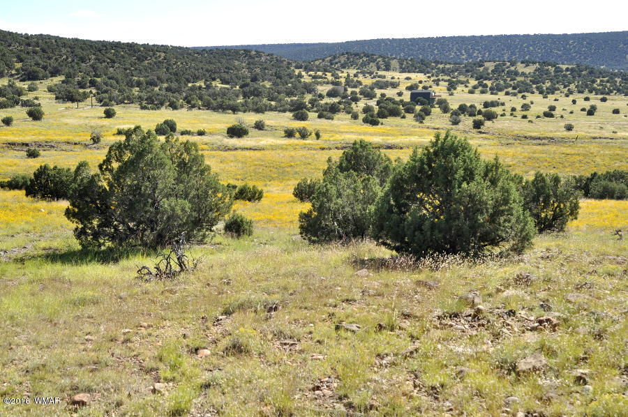 Lot 10 Pinon Concho, AZ 85924 - Photo 2 of 17