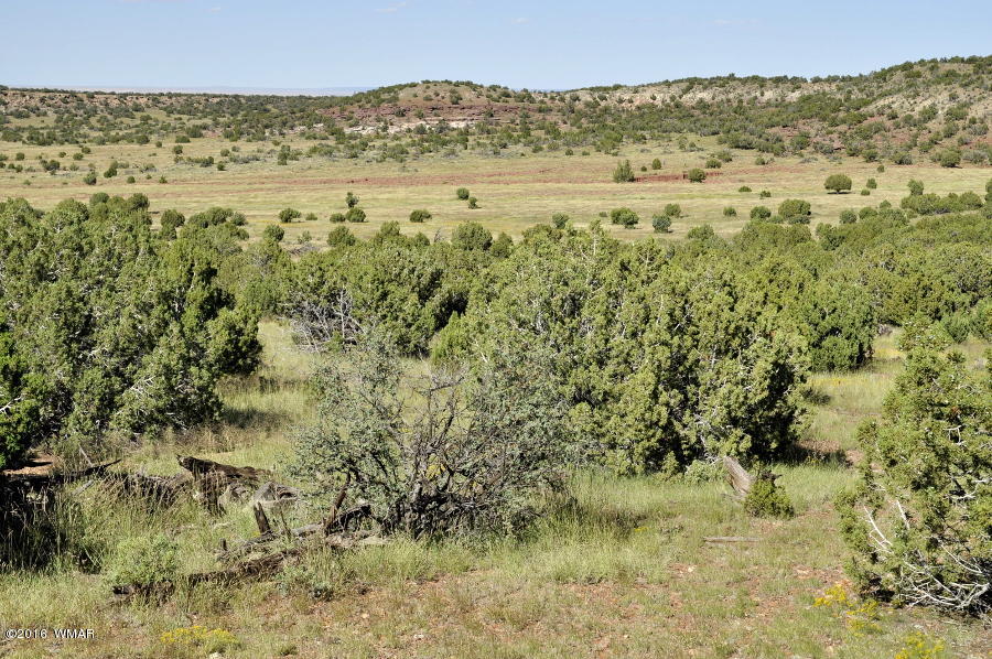 Lot 10 Pinon Concho, AZ 85924 - Photo 3 of 17