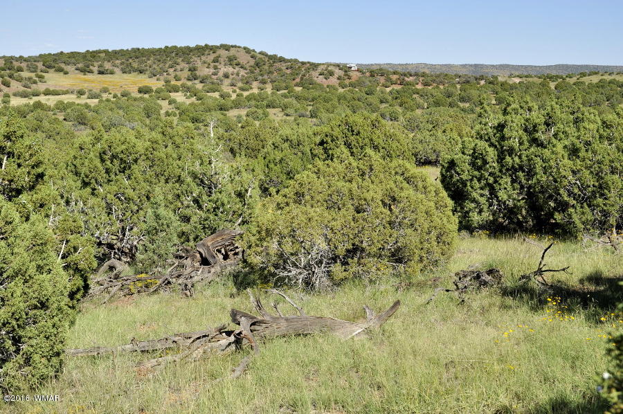 Lot 10 Pinon Concho, AZ 85924 - Photo 4 of 17