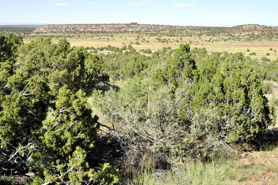 Lot 10 Pinon Concho, AZ 85924 - Photo 7 of 17