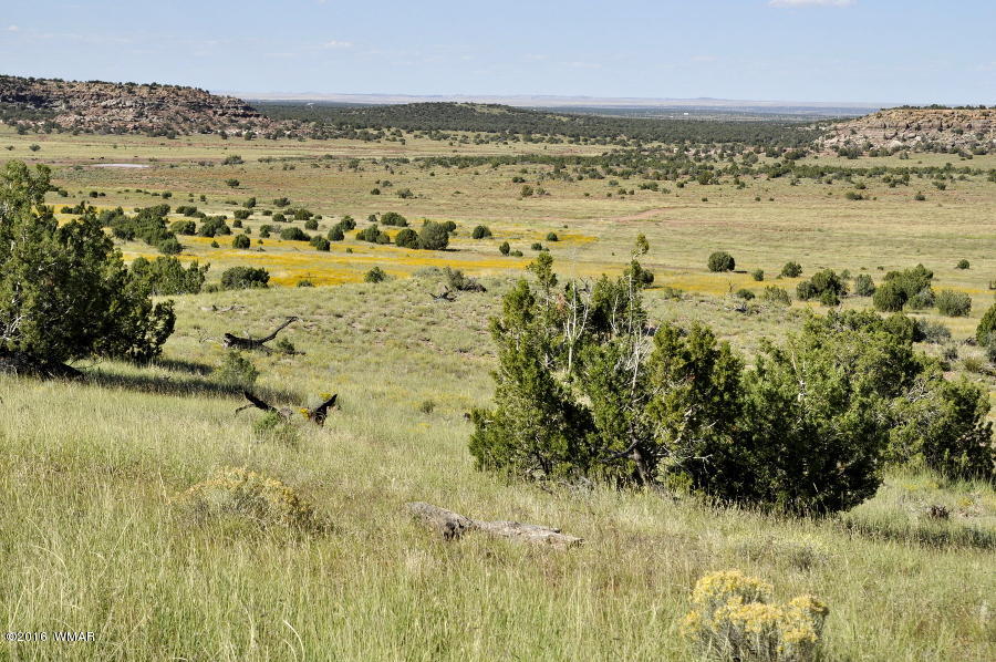 Lot 10 Pinon Concho, AZ 85924 - Photo 8 of 17