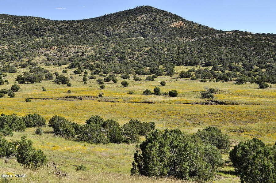 Lot 10 Pinon Concho, AZ 85924 - Photo 9 of 17